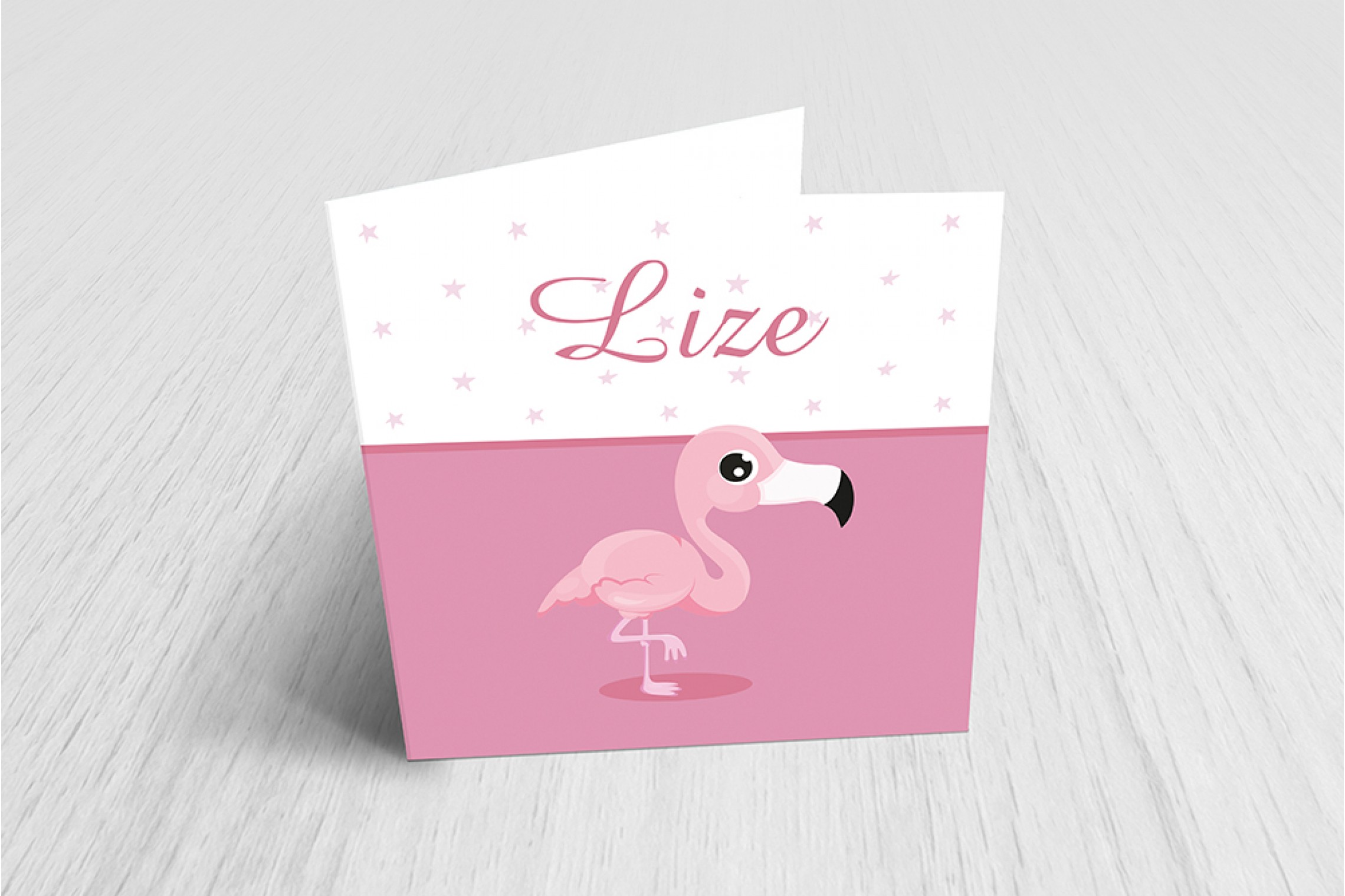 Baby flamingo